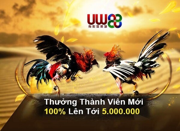 Ucw88 – Nhà cái có hệ thống bảo mật được đánh giá cao hiện nay